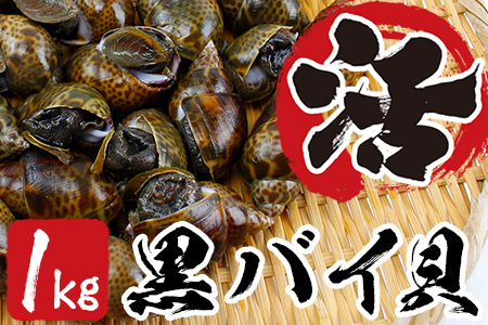 活黒バイ貝１kg（冷蔵便） 富津産