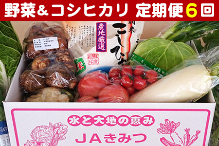 【定期便６ヶ月】野菜詰め合わせ＆天羽米コシヒカリ５kg