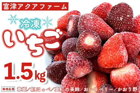 富津アクアファーム　冷凍完熟いちご 1.5kg