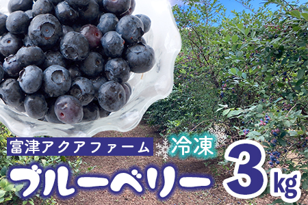 富津アクアファーム 冷凍ブルーベリー3kg(1kg×3袋)