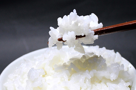 令和7年 千葉富津産「コシヒカリ」10kg（精米）　竹ノ内米店