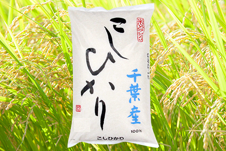 令和7年 千葉富津産「コシヒカリ」15kg(精米) 竹ノ内米店