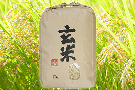 令和5年 千葉県産「コシヒカリ」20kg（玄米）