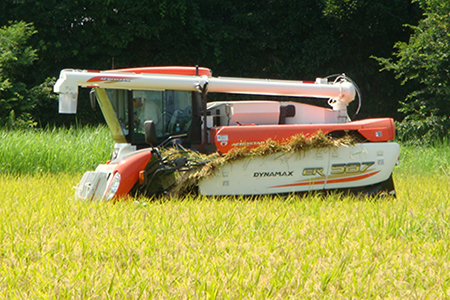 令和7年 富津産「ゆうだい21」20kg（精米）