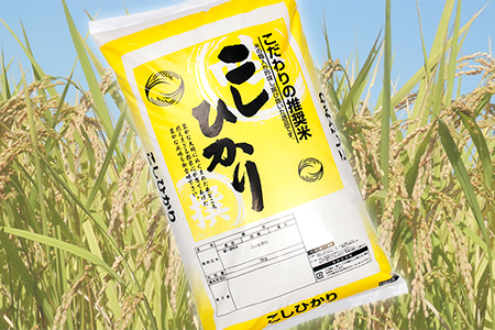 令和5年 千葉富津産「コシヒカリ」20kg（5kg×4袋）精米 | 千葉県富津市