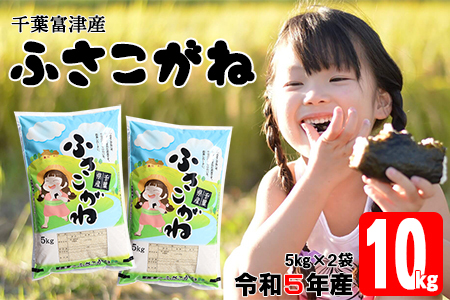 令和4年 千葉富津産「ふさこがね」10kg(5kg×2袋)精米
