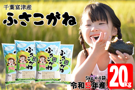 令和4年 千葉富津産「ふさこがね」20kg(5kg×4袋)精米