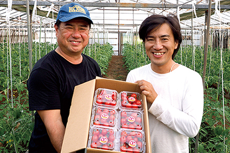 【朝どり直送】高糖度ミニトマト「宝玉丸」200g×12パック 計2.4kg