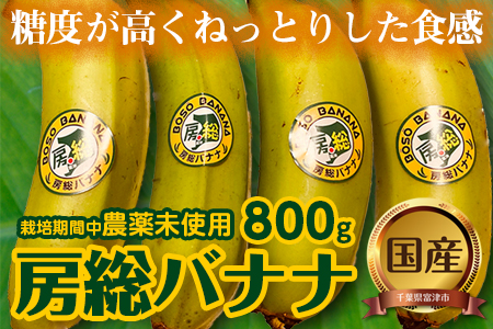 【農薬未使用】房総バナナ800g（4～8本）【6月～10月発送分】