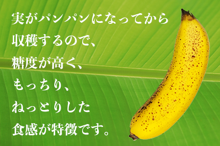 【農薬未使用】房総バナナ800g（4～8本）【6月～10月発送分】