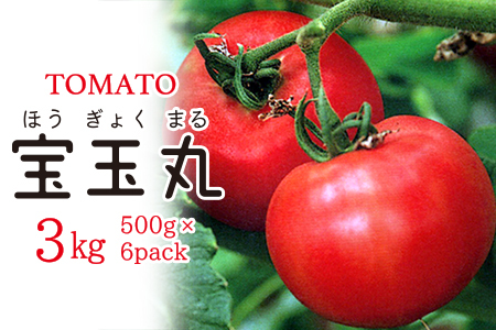 【朝どり直送】高糖度トマト「宝玉丸」2.4kg