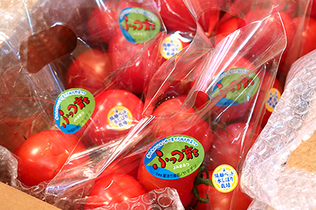 【朝どり直送】高糖度トマト＆ミニトマト「宝玉丸」2.7kg
