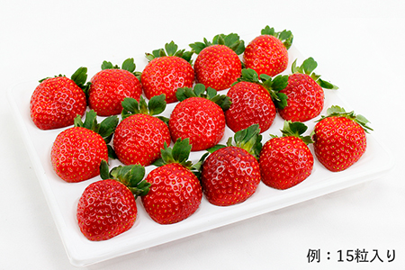 完熟・朝採りいちご400g×2箱（2品種以上／冷蔵） いちごやす農園【３月発送分】