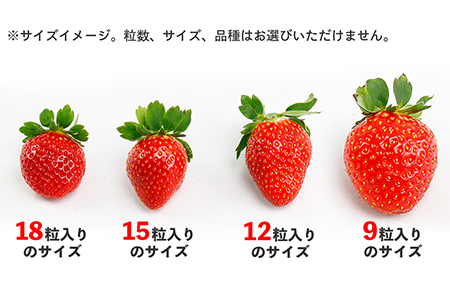 完熟・朝採りいちご400g×2箱（2品種以上／冷蔵） いちごやす農園【３月発送分】