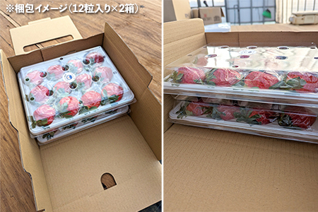 完熟・朝採りいちご400g×2箱（2品種以上／冷蔵） いちごやす農園【３月発送分】