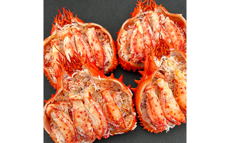 道東名産品!花咲ガニ甲羅盛80g×4【化粧箱入り】 蟹 かに 個包装 真空 ギフト 贈答品 プレゼント 北海道 魚介 海産物 F4F-3201