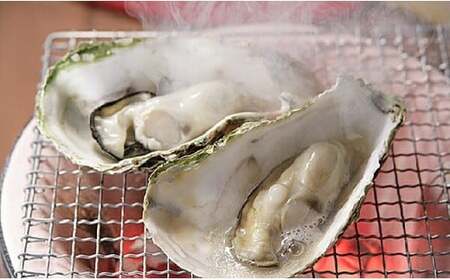 【ぷりっぷりで濃厚!】釧路管内産【活】牡蠣(小)12個 ふるさと納税 牡蠣 F4F-8911