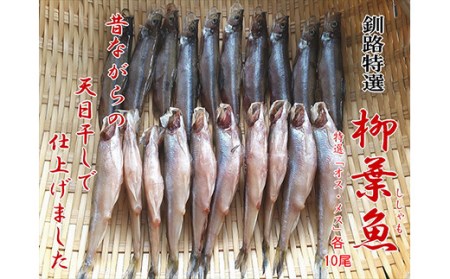 【オスメス食べ比べ】北海道産・ししゃもセット ふるさと納税 ししゃも F4F-0348
