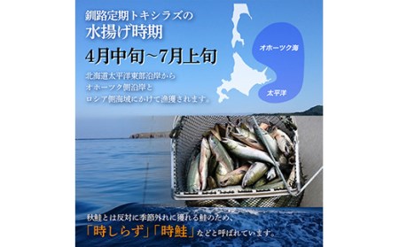 新もの 船上活じめ 釧路 定置 トキシラズ の 半身 ふるさと納税 鮭 サケ 魚 F4F-4561