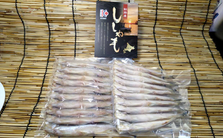 本ししゃも20尾 (オス10尾×1袋、メス10尾×1袋) シシャモ ししゃも 本ししゃも 北海道産 国産 魚 魚介 F4F-5548