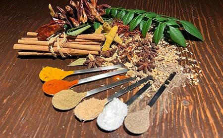 【期間限定!寄附額改定↓!】【3ヶ月連続定期便】 ひだまり薬膳スパイスカレー 2個 冷凍 薬膳 スパイスカレー カレー スパイス デトックス 保存食 ジビエ 低糖質 ターメリックライス F4F-4365