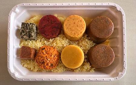 【期間限定!寄附額改定↓!】【3ヶ月連続定期便】 ひだまり薬膳スパイスカレー 2個 冷凍 薬膳 スパイスカレー カレー スパイス デトックス 保存食 ジビエ 低糖質 ターメリックライス F4F-4365