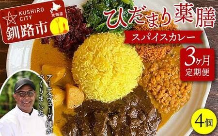 【期間限定!寄附額改定↓!】【3ヶ月連続定期便】ひだまり薬膳スパイスカレー 4個 冷凍 薬膳 スパイスカレー カレー スパイス デトックス 保存食 ジビエ 低糖質 ターメリックライス F4F-4366