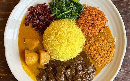 【期間限定!寄附額改定↓!】【3ヶ月連続定期便】ひだまり薬膳スパイスカレー 4個 冷凍 薬膳 スパイスカレー カレー スパイス デトックス 保存食 ジビエ 低糖質 ターメリックライス F4F-4366