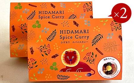 【期間限定!寄附額改定↓!】【3ヶ月連続定期便】ひだまり薬膳スパイスカレー 4個 冷凍 薬膳 スパイスカレー カレー スパイス デトックス 保存食 ジビエ 低糖質 ターメリックライス F4F-4366