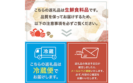 【北海道産・極上・列盛】えぞバフンうに(折)100g 北海道 釧路 ふるさと納税 うに 雲丹 魚介類 海産物 高級 贈答用 豪華 F4F-0637