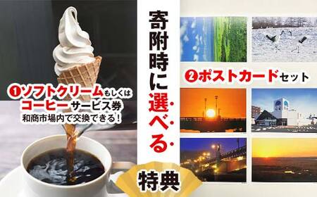 【期間限定！寄附額改定↓！】【特典付き】釧路和商市場 3,000円分 ポストカード 2枚セット F4F-4321