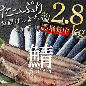 【期間限定！寄附額改定↓！】北海道産 無添加 塩さばフィレ約2.8kg＜釧之助 ご飯に合うおかずの定番＞ 北海道 笹谷商店 釧之助 無添加 天然 F4F-8871