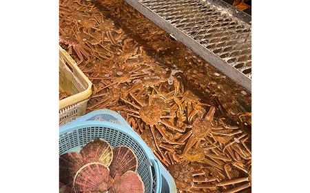 (訳あり)北海道産・大ずわいかに(ボイル冷凍) 3～7尾 カニ ズワイガニ 蟹 楚蟹 ずわいガニ ずわい蟹 冷凍 ボイル 海産物 F4F-8029