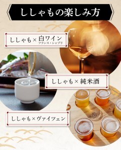 【期間限定！寄附額改定↓！】本場くしろ産 ししゃもオス・メス20尾入り！ 本ししゃも 魚 ししゃも 魚好きのオス プチプチたまごのメス 魚介 グルメ シシャモ 北海道産 国産 魚 魚介 海の幸 F4F-9163