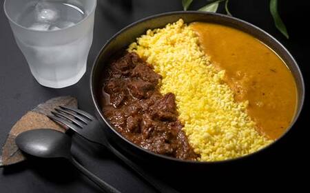 【期間限定！寄附額改定↓！】北海道シリーズエゾシカカレー1個＆ジャガイモカレー1個 ターメリックライス付き カレー レトルト 常備 冷凍 小分け 簡単調理 おかず 北海道 ターメリック 保存料不使用 化学調味料不使用 添加物不使用 F4F-5152