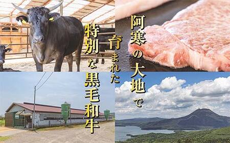 【期間限定！寄附額改定↓！】阿寒丹頂黒和牛 サーロインステーキ 500g (250g2枚) 和牛 ステーキ しゃぶしゃぶ すき焼き 肉 北海道産 阿寒 F4F-3595