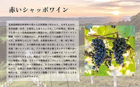 【期間限定！寄附額改定↓！】赤いシャッポワイン×2本 赤ワイン 北海道産 ワイン プレミアム セット 酒 北海道 阿寒町産 F4F-3145