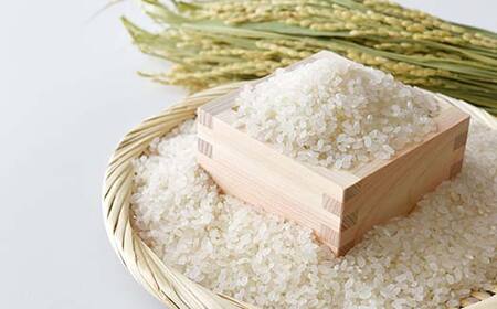 【期間限定！寄附額改定↓！】新米 北海道産おぼろづき2kg＆甘口塩たらこ（500g） ふるさと納税 米 おぼろづき たらこ 塩たらこ 甘口 F4F-7763