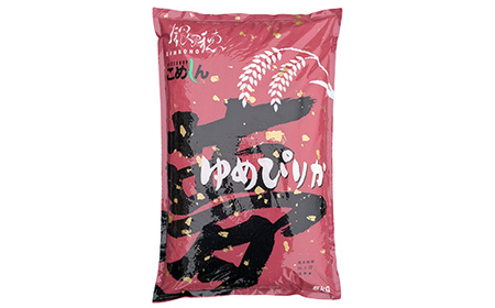 【期間限定！寄附額改定↓！】【令和7年度産】ゆめぴりか 5kg 白米 北海道産 米 コメ こめ お米 通常発送 F5F-0157