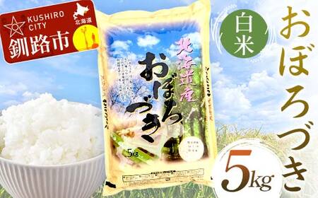 【期間限定！寄附額改定↓！】【令和7年度産】おぼろづき 5kg 白米 北海道産 米 コメ こめ お米 白米 玄米 通常発送 F5F-0163
