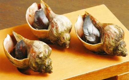 【期間限定！寄附額改定↓！】「炉ばた居酒屋はたご家」「炭焼炉端ちくぜん」で使える共通お食事券 6,000円分 クーポン チケット 飲食 利用券 F4F-8038