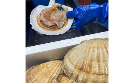 【冷蔵便でお届け！】ホタテの貝柱 オーダー剥き 約200g 魚介類 海鮮 ホタテ 帆立 F4F-8098