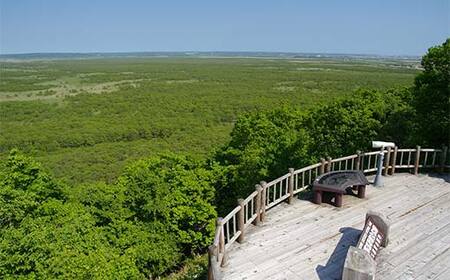 釧路市の飲食店や観光施設で使える!マルチクーポン 5,000円分(1,000円×5枚) クーポン 釧路市 観光 飲食店 長期滞在 返礼品 チケット グルメ レストラン 利用券 観光施設 F4F-8457