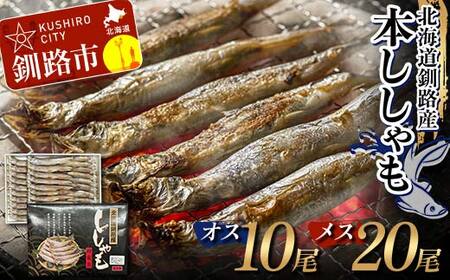 本ししゃも オス10尾・メス20尾 釧路産 本ししゃも 魚 ししゃも 魚好きのオス プチプチたまごのメス 魚介 グルメ シシャモ 北海道産 国産 魚 魚介 海の幸 F4F-8866