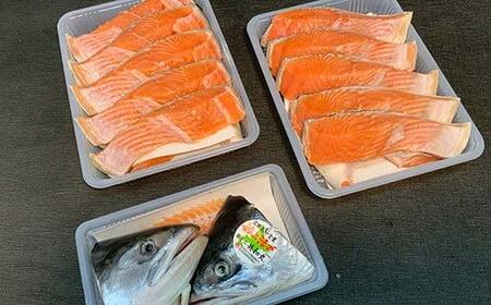 【期間限定！寄附額改定↓！】【新物】釧路産定置網活じめ時知らず2本（切身） 鮭 トキシラズ 切身 活じめ 釧路 海産物 F4F-8842