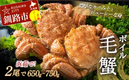 【期間限定！寄附額改定↓！】ボイル毛がに（浜茹で急速冷凍）2尾入 （2尾で650～750g） ふるさと納税 かに 蟹 F4F-0435 8,875円