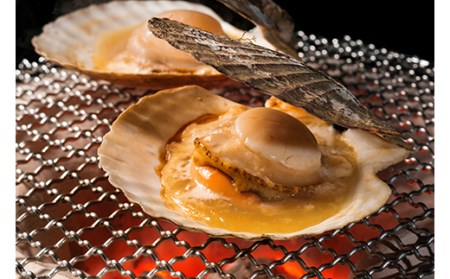 【北海道から直送!!】殻付活ホタテ貝(4.0kg詰)13~20枚 ふるさと納税 ほたて F5F-0119