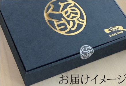 【期間限定!寄附額改定↓!】【10枚セット】レンジで楽ちん!本格旨魚!レンちん君! ふるさと納税 魚 F4F-4297