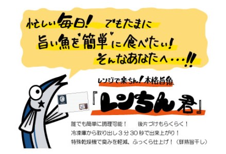 【期間限定!寄附額改定↓!】【10枚セット】レンジで楽ちん!本格旨魚!レンちん君! ふるさと納税 魚 F4F-4297