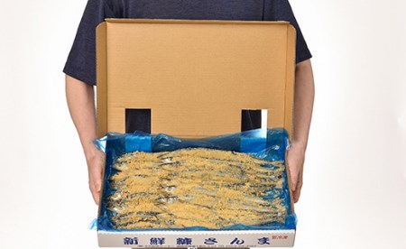 【北海道産】 新鮮糠さんま 20尾化粧箱 ふるさと納税 魚 F4F-1453